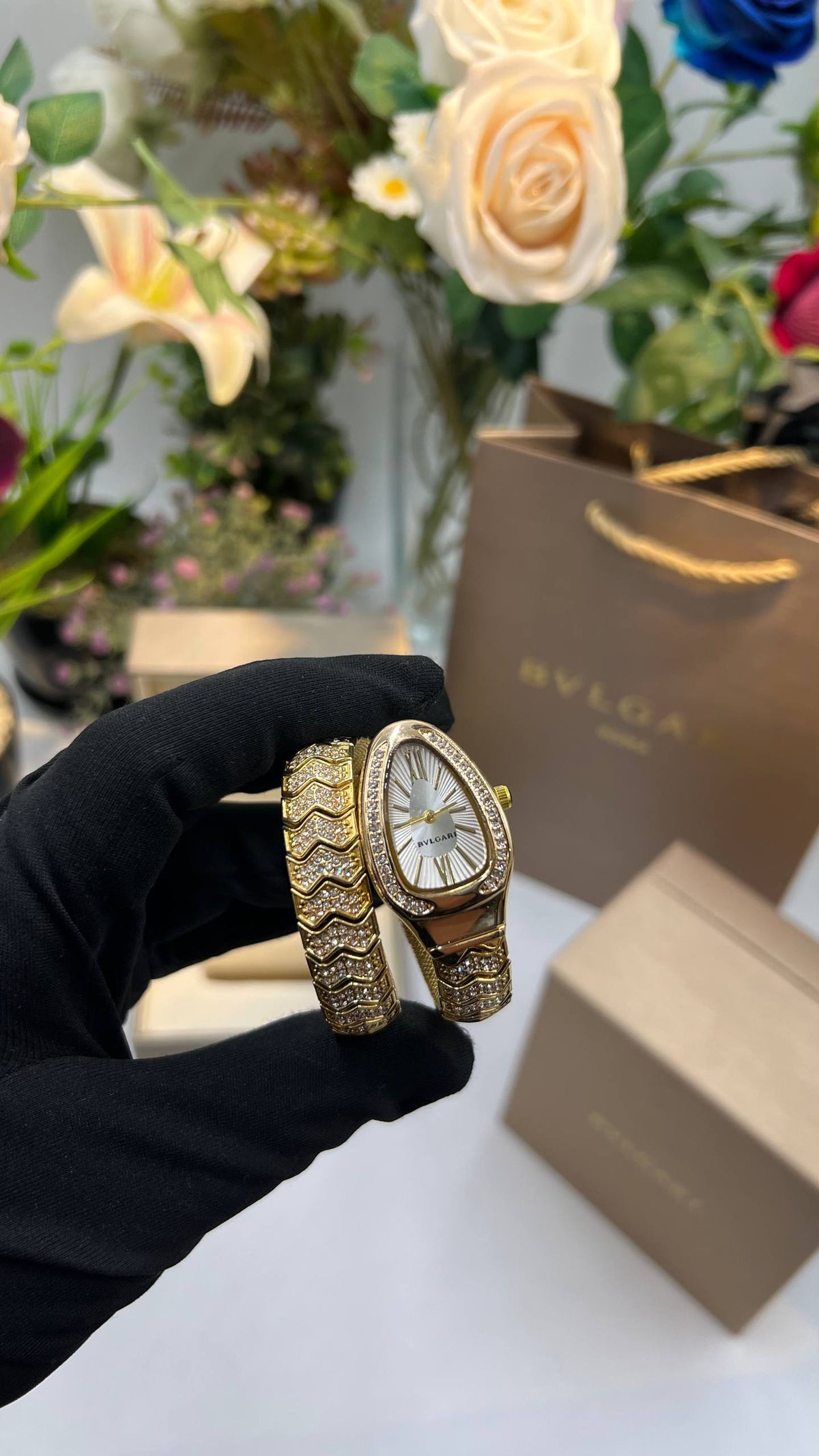 BVIGARl - Watch